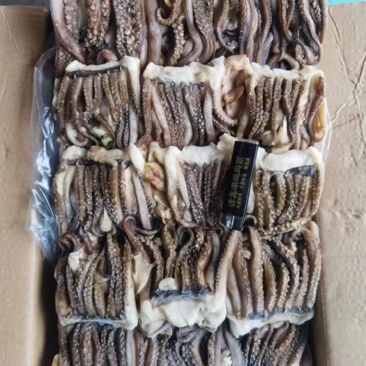 荣成市开片头-鱿鱼头-章鱼爪-烧烤鱿鱼-产地直发-现货-一手货源