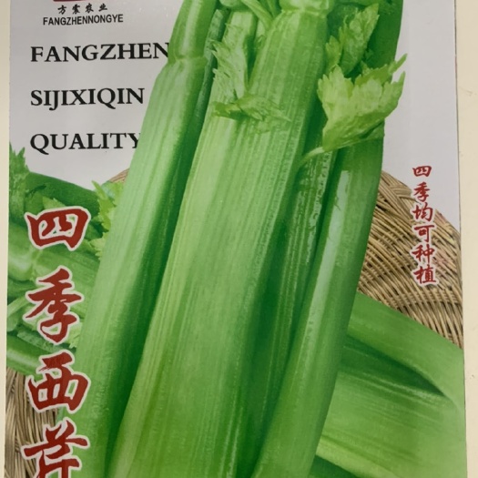长沙大肉春夏种蔬菜种子大全西芹蔬菜籽大全批发巨大号菜种子大全四季