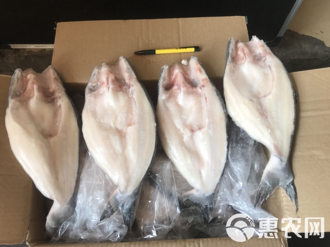 张光豪 小开背巴沙鱼12条*4.5kg