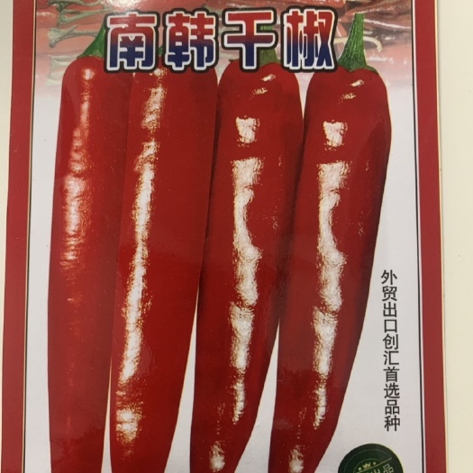长沙特制干辣椒种子南韩干椒超辣干鲜两用春夏播辣椒种籽辣味强高产好
