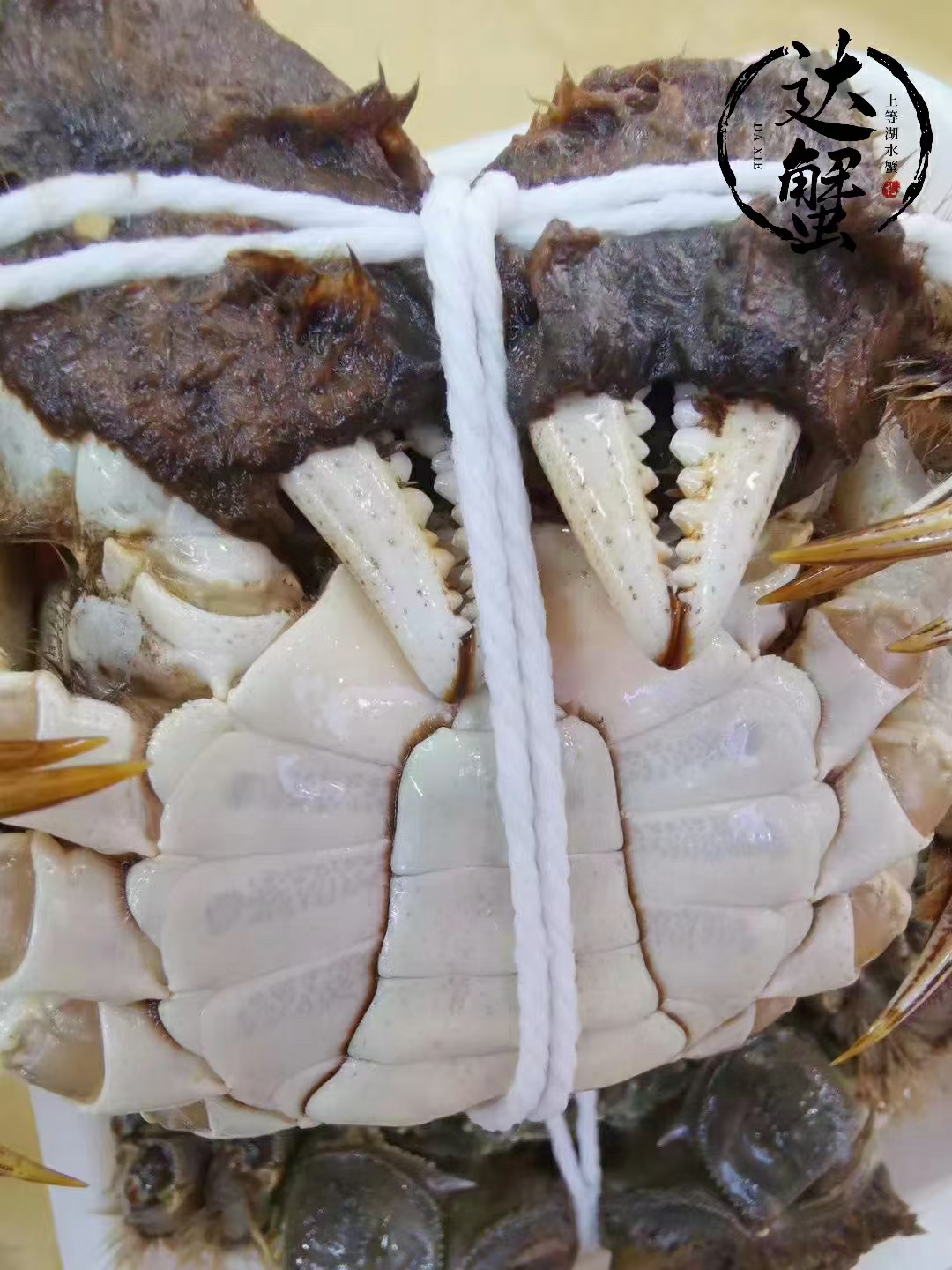 大闸蟹 2公78一盒