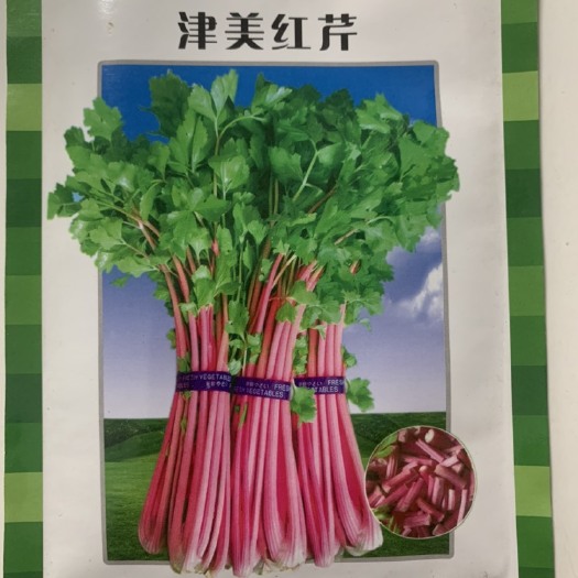 长沙红香芹种子芹菜种籽红色紫色芹菜苗秧孑阳台盆栽四季蔬菜香芹种籽