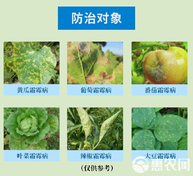 双解40%喹啉铜霜脲氰 霜霉病疫病杀菌剂蔬菜黄瓜番茄辣椒农药