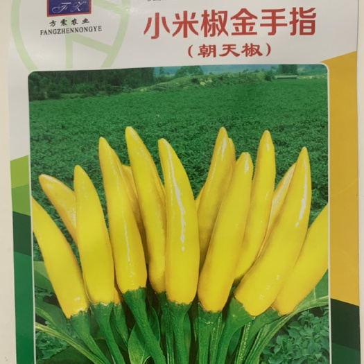 长沙香脆小米椒种子簇生朝天椒泡椒玉脂小辣椒特辣高产四季摘不败辣椒