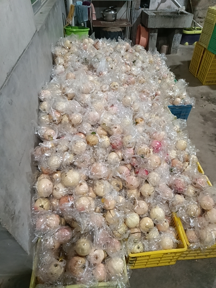 临潼石榴 裂口大量有货