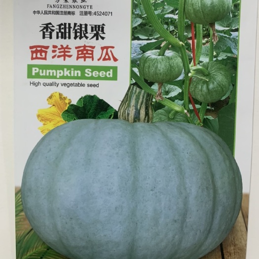 银栗板栗南瓜种子新疆贵族灰皮贝贝迷你南瓜种籽四季蔬菜种子