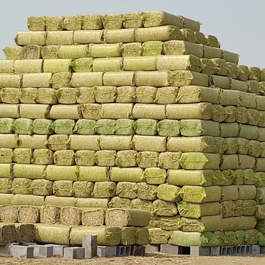 公主岭市玉米秸秆批发，10w晌地，可卖地自己来打包