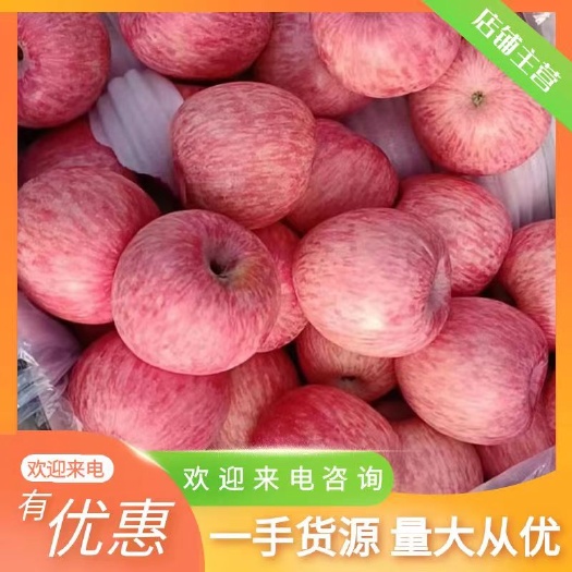 山东红富士苹果【纸袋红富士】【膜袋红富士】【全国发货】