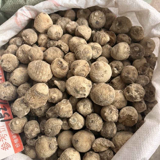 玉林广西川泽泻，现处理卖，有需要可以联系，价格美丽