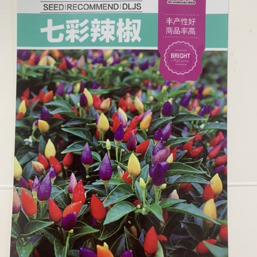 长沙七彩小辣椒观赏食用香辣五彩椒种籽室内阳台盆栽高产辣椒蔬菜种子