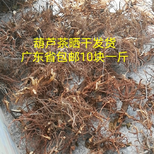 廉江市葫芦茶根