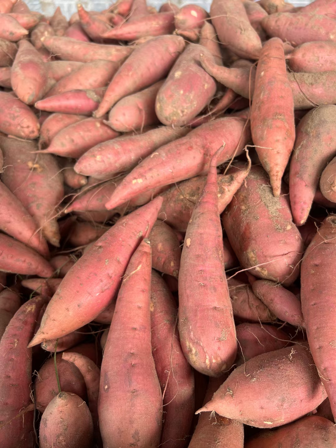 宜城市【产地直发】优质西瓜红蜜薯，红皮红心红薯，按需分拣，保质保量