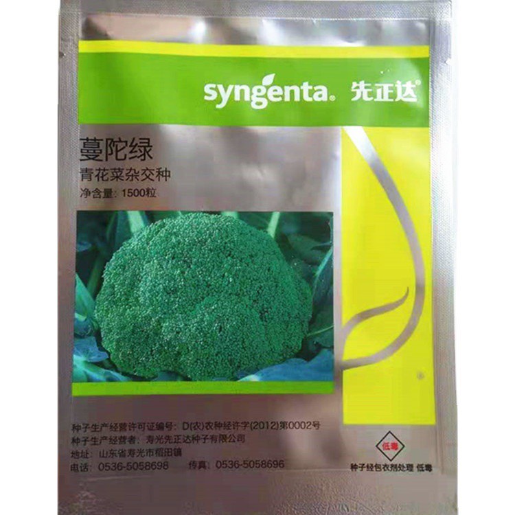 先正达西兰花种子 蔓陀绿青花菜(1500粒)杂交一代青菜青菜