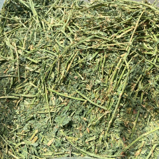 天津苜蓿草散草，吨袋装，蛋白20以上。