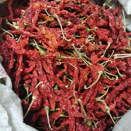 茶陵县干线椒 邹皮椒 茶陵干辣椒