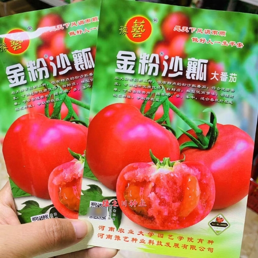 沭阳县豫艺金粉沙瓤粉红番茄种籽 大果粉果西红柿种子沙瓤抗病毒自封顶