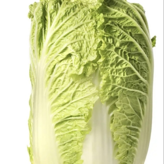翼城县白菜量大从优