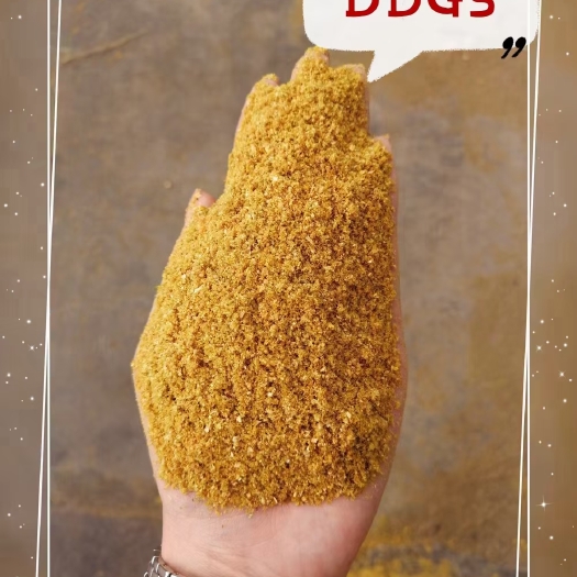 厂家直销，烘干玉米蛋白饲料DDGS
