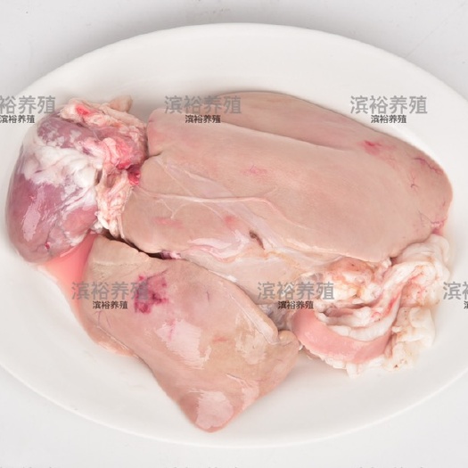 狮头鹅 粉肝