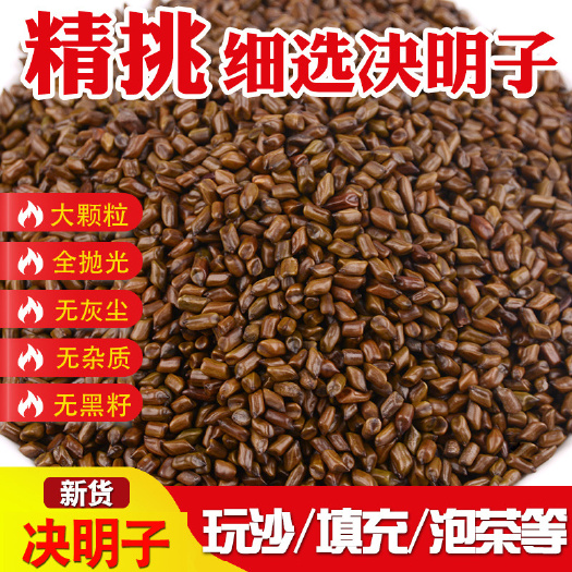 亳州决明子 生决明子炒决明子大颗粒新货 规格齐全可供批发零售