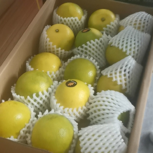 琼中县绿橙开箱验货