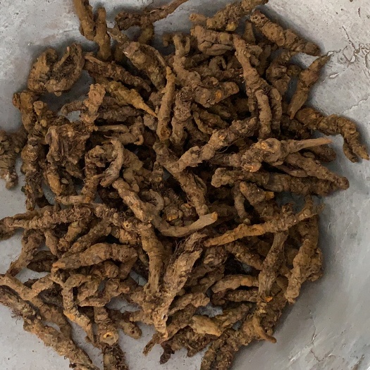 鄄城县黄连单只黄连鸡爪连