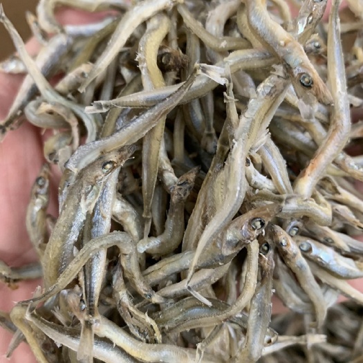 银针鱼 小青鱼  小条 出口