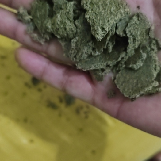 镇宁县贵州菜籽饼 青饼 油枯
