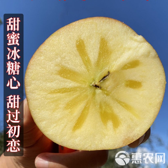 云南昭通红露苹果丑苹果新鲜水果脆甜当季整箱平红富士冰糖心