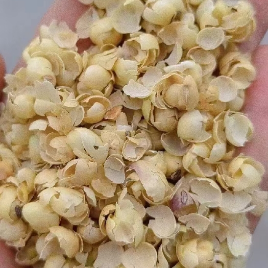 石家庄黄豆皮