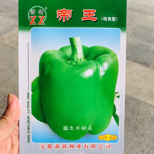 高产早熟长方灯笼型甜椒种子萧新帝王辣椒种籽灯笼椒菜椒青椒种孑