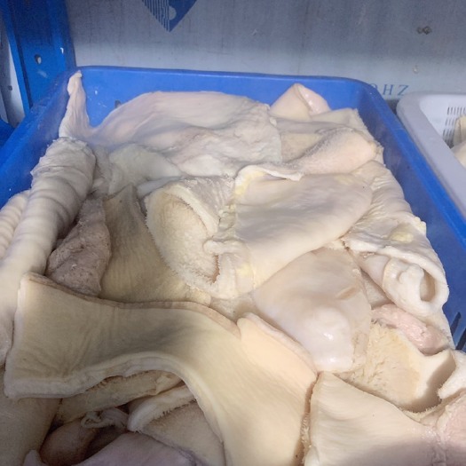 惠州半成熟片肚