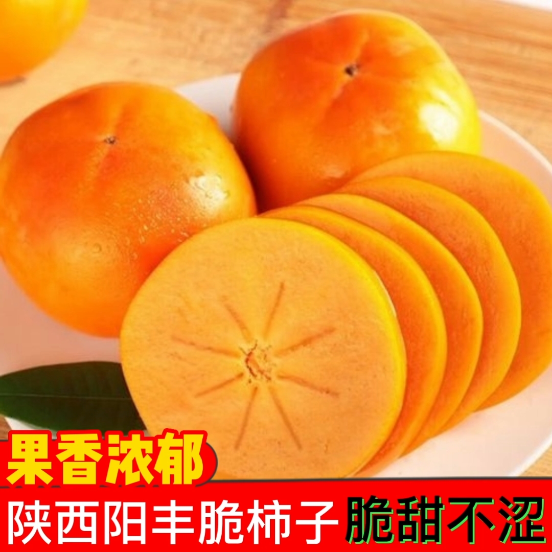 西安【促销】陕西阳丰脆柿子脆甜不涩巧克力口感无核硬柿子比苹果脆