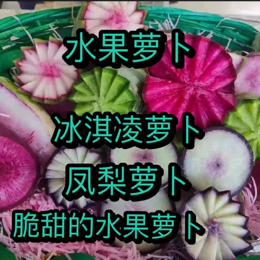 潍坊水果萝卜，冰淇凌萝卜，凤梨萝卜，潍坊产地直销