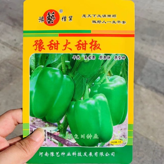 沭阳县早熟甜椒品种 豫艺大甜椒种子大果亮绿果肉厚基地专用甜辣椒种子