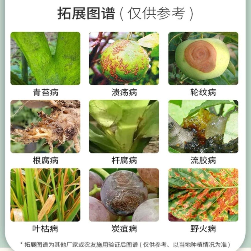 80%乙蒜素真菌細(xì)菌根腐病枯萎病青枯病青苔病農(nóng)藥殺