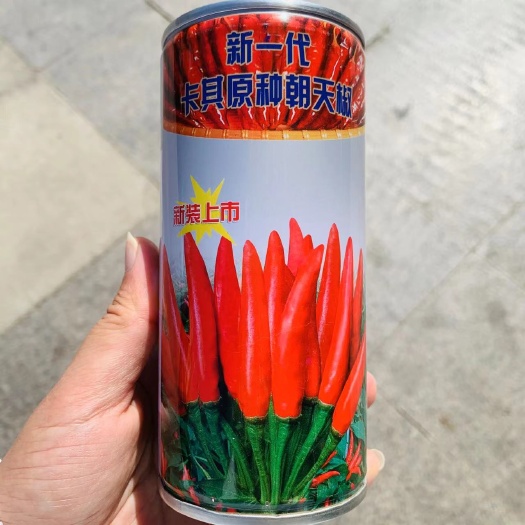 沭阳县新一代卡其原种簇生朝天椒种子国外引进辣味浓中晚熟干制小辣椒种