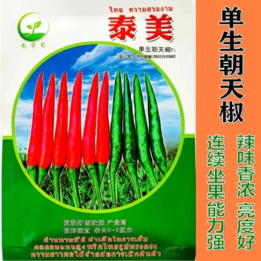 泰美大果型单生朝天椒种子种籽四季辣椒籽种超辣高产指天椒蔬菜孑