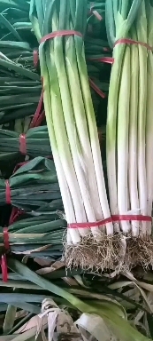 济南章丘大葱 葱白高 水分足 口感佳 新鲜 认准产地 认准品质