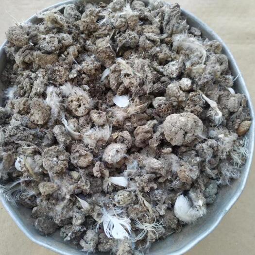 安远县发酵干鸽粪