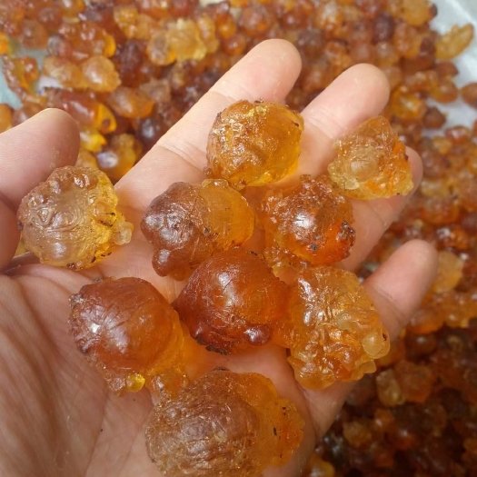 惠州桃胶