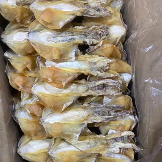 北海穿竹墨，9成干以上
