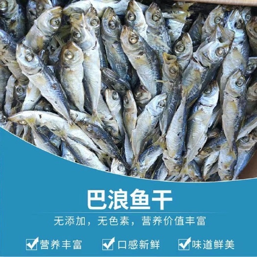 漳州巴浪鱼干新鲜可即食休闲零食淡干无盐福建海鲜干货批发