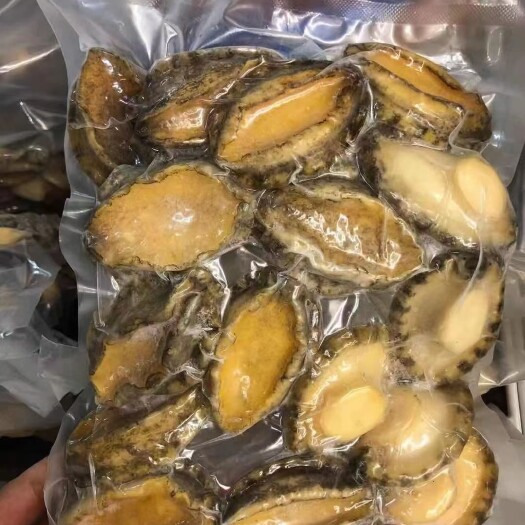 广州大连鲜冻鲍鱼，工厂直发，一手货源，量大可优