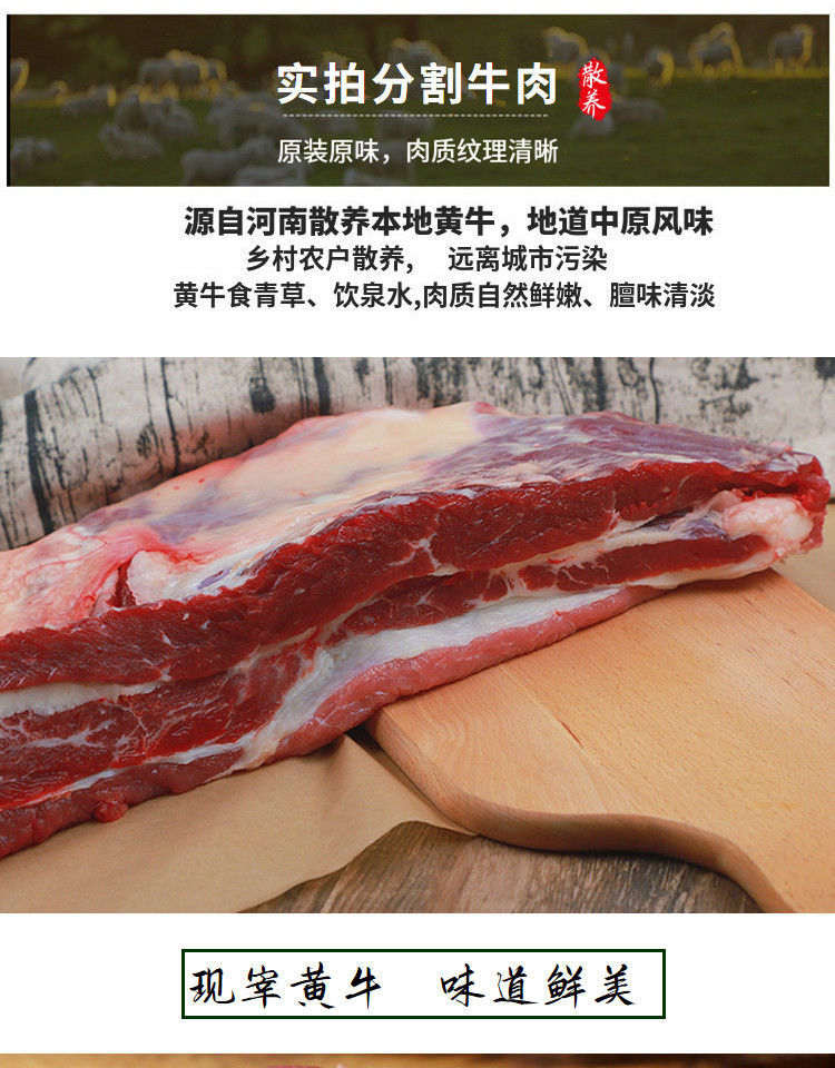 V黄牛腩肉国产4斤起冷冻黄牛腿肉牛腱子肉批发包邮