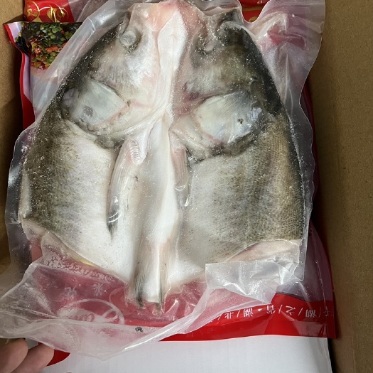 潜江市剁椒鱼头湖湘味道加热即食冻鱼头白鲢鱼头陈坛剁椒鱼头开袋即烹