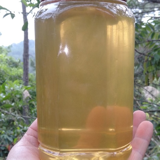容县土蜂蜜  蜂蜜天然纯正中蜂百花蜜，自产自销