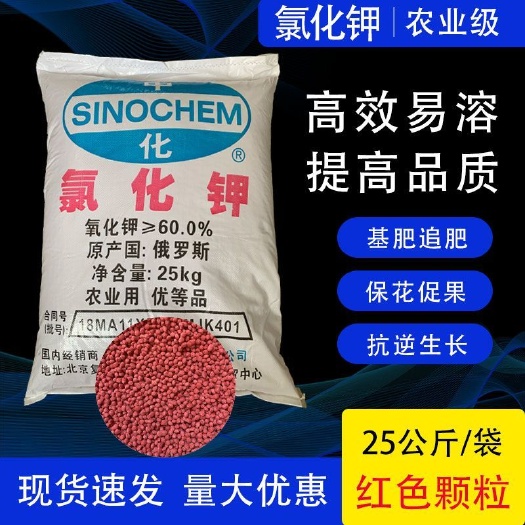 新郑市俄罗斯全水溶氯化钾通用肥料花卉果树农用水产钾肥 包邮