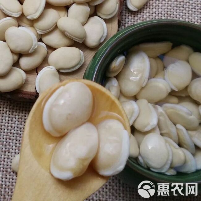 白扁豆 云南产地白扁豆 食用白扁豆