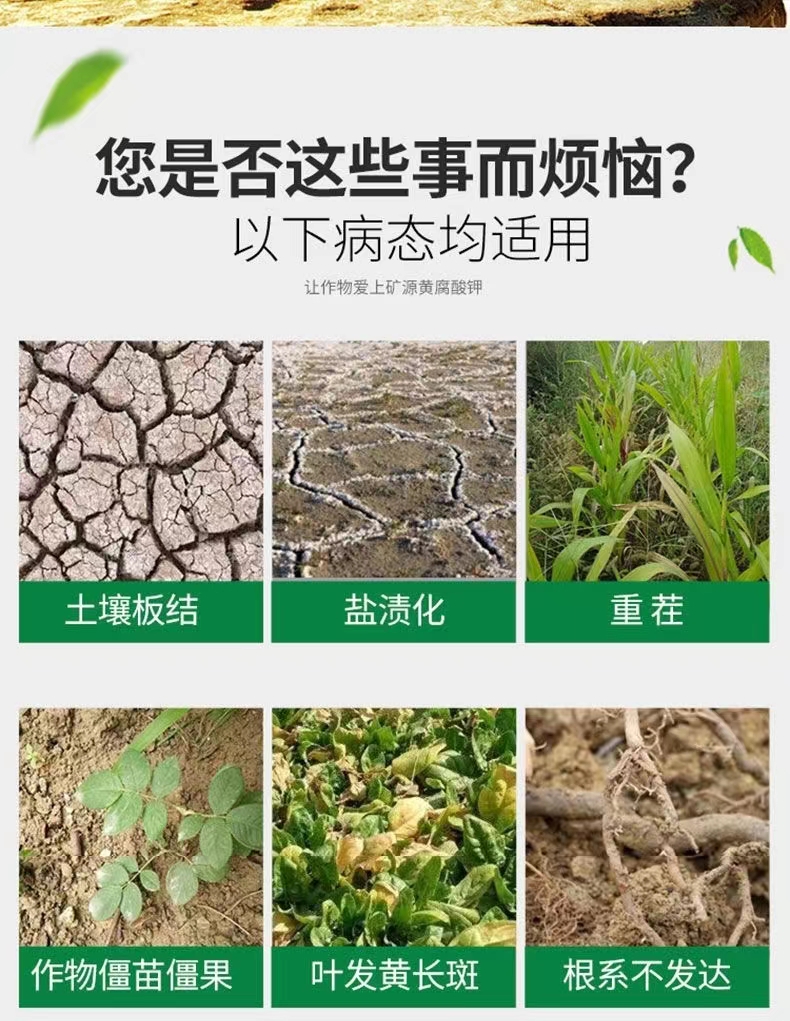 二畝田礦源黃腐酸鉀 活化土壤，調(diào)節(jié)鹽堿，抗茬抗病，提升品質(zhì)